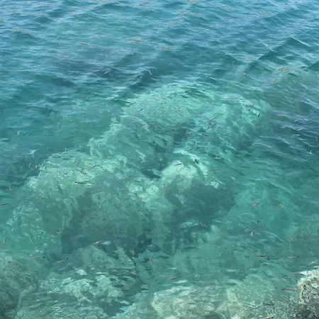 Oyo Bora Bora The *