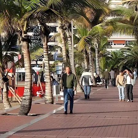 Szálloda Oyo Bora Bora The *